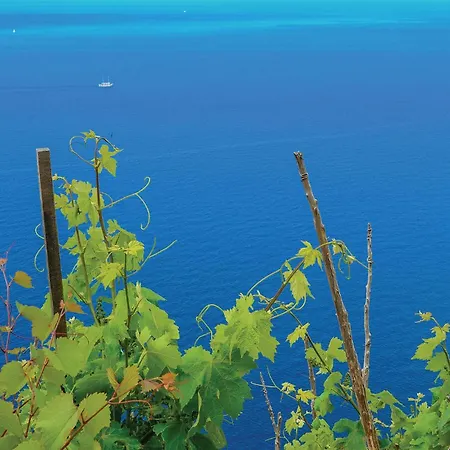 With Sea View I 度假居 *