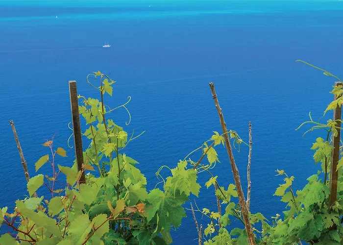 With Sea View I Prázdninový dům *